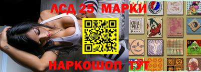 скорость Кингисепп