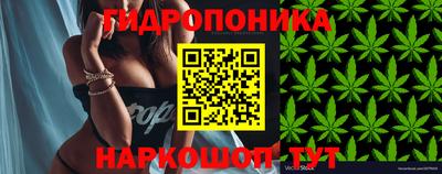 скорость Кингисепп