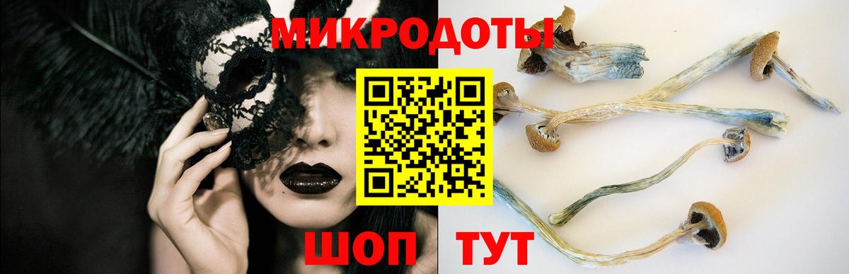 где найти   Псилоцибиновые грибы MAGIC MUSHROOMS  Вход с VPN  Новомосковск 